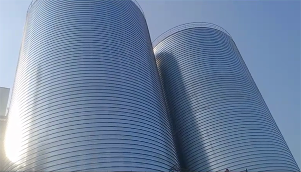 宁德2座混凝土高架卷板仓